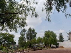 Arranca convocatoria para distintivo ‘aire limpio 2023’