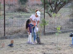 Celebran día del árbol con reforestación