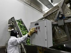 Supera Irapuato cifras de generación de empleo