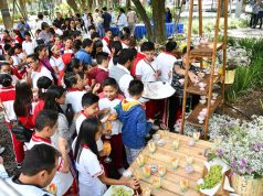 Invitan a disfrutar curso de verano ecológico