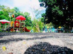 ¡Visita parque Irekua, la casa de las familias!