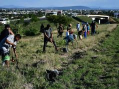 Participan en reforestación jóvenes irapuatenses