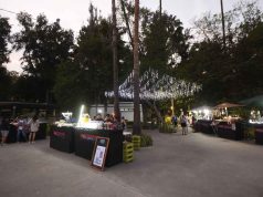 Llegará festival de la fresa al parque irekua