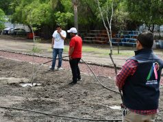 Realizan infractores labor social