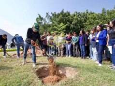 Trabajan por reforestar Irapuato