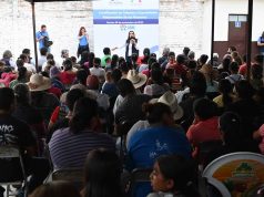Certifican a colonias y comunidades responsables de sus mascotas