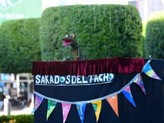 Disfrutan primera obra internacional de títeres bocón