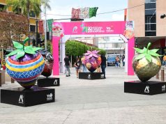 Supera expectativas festival de la fresa
