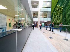 Refrenda Irapuato transparencia Gubernamental