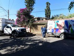 Rescatan a 36 Caninos en Situación Vulnerable