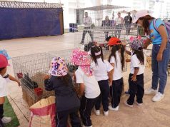 DISFRUTAN ESTUDIANTES DE LA FERIA DE LAS FRESAS
