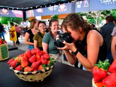 Excursiones, visitas guiadas y actividades en Irapuato