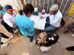 Promueven el cuidado de mascotas