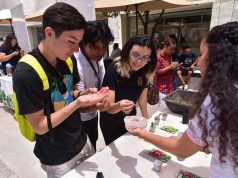 Conmemoran día mundial del medio ambiente