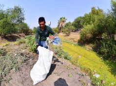 Se únen por un medio ambiente sano por Irapuato