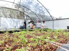 Invitan a disfrutar de un verano ecológico