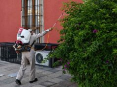IMPULSAN MEDIDAS PREVENTIVAS CONTRA EL DENGUE