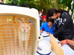 ENCUENTRAN MASCOTAS NUEVO HOGAR