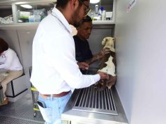 Se Únen Vecinos Por El Bienestar Animal