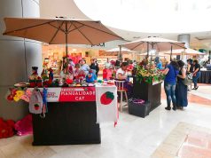 PROMOCIONAN FESTIVAL DE LA FRESA EN PLAZA CIBELES