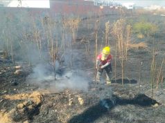 PIDE BOMBEROS A CIUDADANÍA PREVENIR INCENDIOS DE PASTIZALES