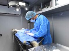 Habrá gran jornada de esterilización gratuita en Irapuato