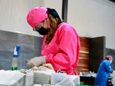 Realizan con éxito campaña masiva de esterilización de mascotas