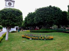 CELEBRA EN IRAPUATO ‘DÍA DEL ÁRBOL EN MÉXICO’