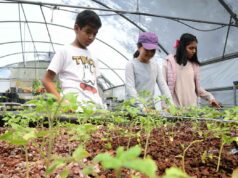 INVITAN A VIVIR VERANO ECOLÓGICO EN IRAPUATO