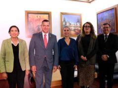 BUSCAN CONSTRUCCIÓN DE CENTROS DE EDUCACIÓN Y CUIDADO INFANTIL PARA IRAPUATO