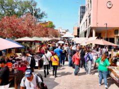 DISFRUTAN IRAPUATENSES Y VISITANTES DE FESTIVAL DE LA FRESA 2025