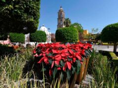 LA NAVIDAD ESTÁ LLEGANDO A IRAPUATO