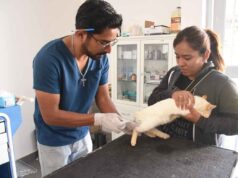 MANTIENE GOBIERNO DE IRAPUATO CAMPAÑA PERMANENTE DE VACUNACIÓN ANTIRRÁBICA Y BIENESTAR ANIMAL