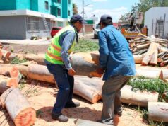 ATIENDE SERVICIOS PÚBLICOS REPORTES TRAS LLUVIAS Y FUERTES VIENTOS EN IRAPUATO