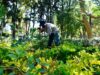 IRAPUATO AVANZA EN LA CONSTRUCCIÓN DEL PROGRAMA MUNICIPAL DE ACCIÓN CLIMÁTICA