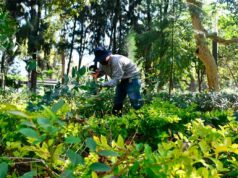 IRAPUATO AVANZA EN LA CONSTRUCCIÓN DEL PROGRAMA MUNICIPAL DE ACCIÓN CLIMÁTICA