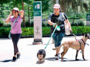 IRAPUATO IMPULSA SU TRANSFORMACIÓN URBANA Y AMBIENTAL CON PLAN MAESTRO DEL SISTEMA DE PARQUES